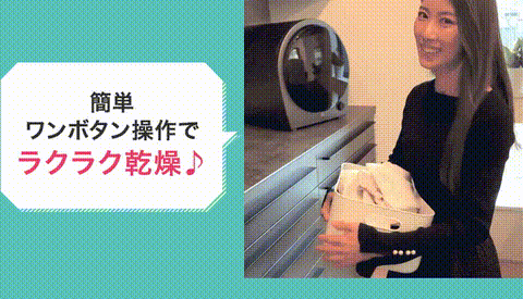 Biny 値段比較